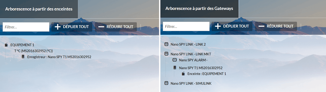 arborescence